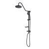 Shower Head with Handheld Shower System