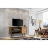 Manhattan Comfort Liberty 42.52" Mid-Century Modern TV Stand with 2 Shelves and 1 Door in Rustic Brown and 3D Brown Prints