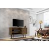 Manhattan Comfort Liberty 42.52" Mid-Century Modern TV Stand with 2 Shelves and 1 Door in Rustic Brown