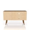Manhattan Comfort Liberty 42.52" Mid-Century Modern TV Stand with 2 Shelves and 1 Door in Rustic Brown