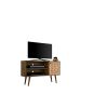 Manhattan Comfort Liberty 42.52" Mid-Century Modern TV Stand with 2 Shelves and 1 Door in Rustic Brown and 3D Brown Prints