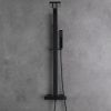 2-Function Thermostatic Complete Shower System With Rough-In Valve in Matte Black