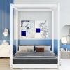 Full Size Canopy Platform Bed with Support Legs